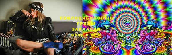 прущие грибы Володарск