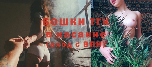 прущие грибы Володарск