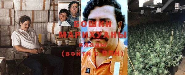 прущие грибы Володарск